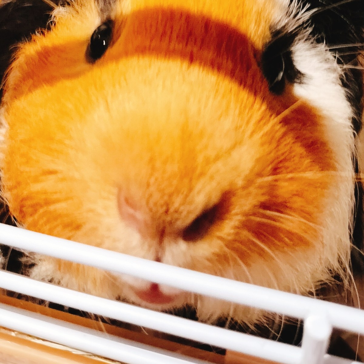 生活の倫理について