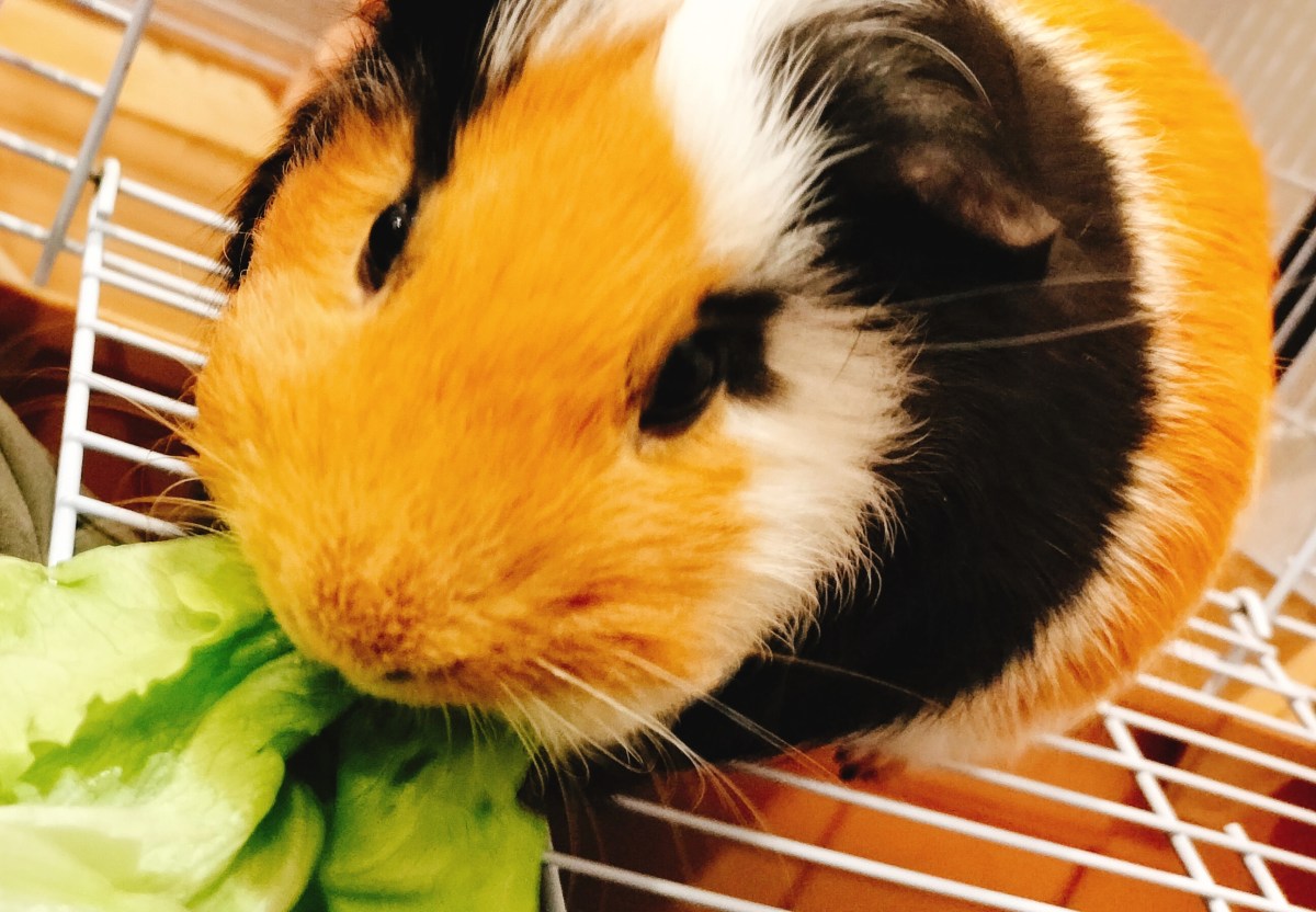 労働基準法について／労働安全衛生法について