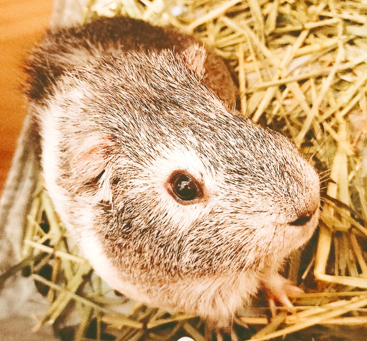 労働者災害補償法について／雇用保険法について