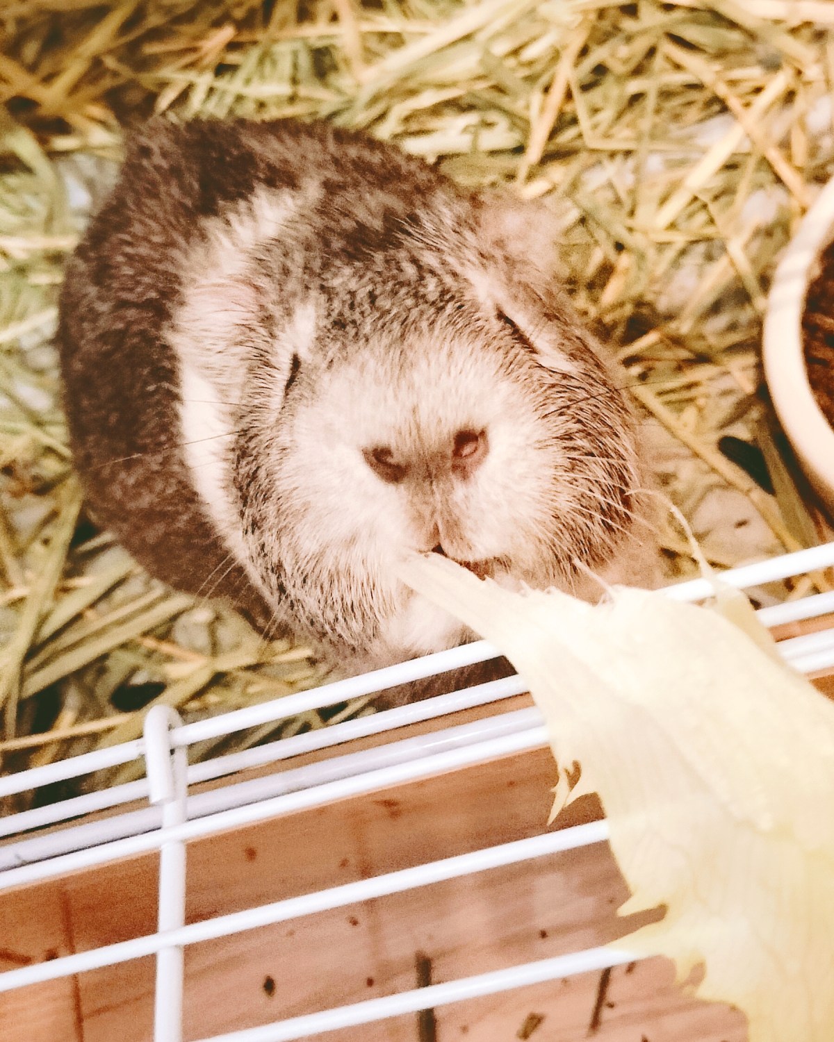 労働保険の保険料の徴収等に関する法律（徴収法）について