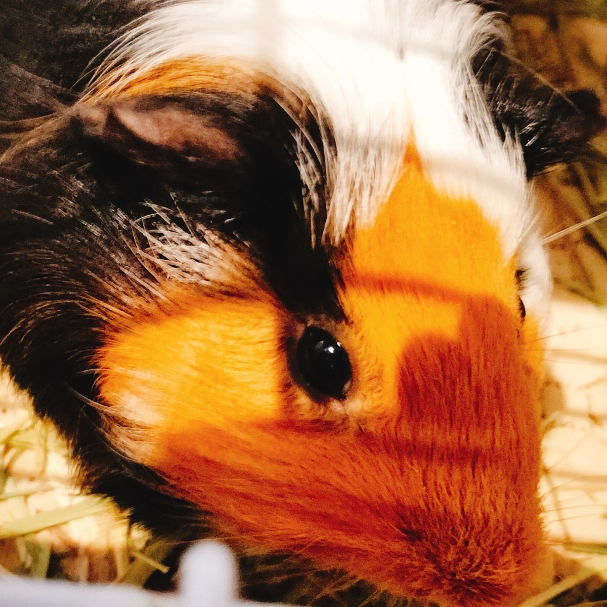 労働一般常識について