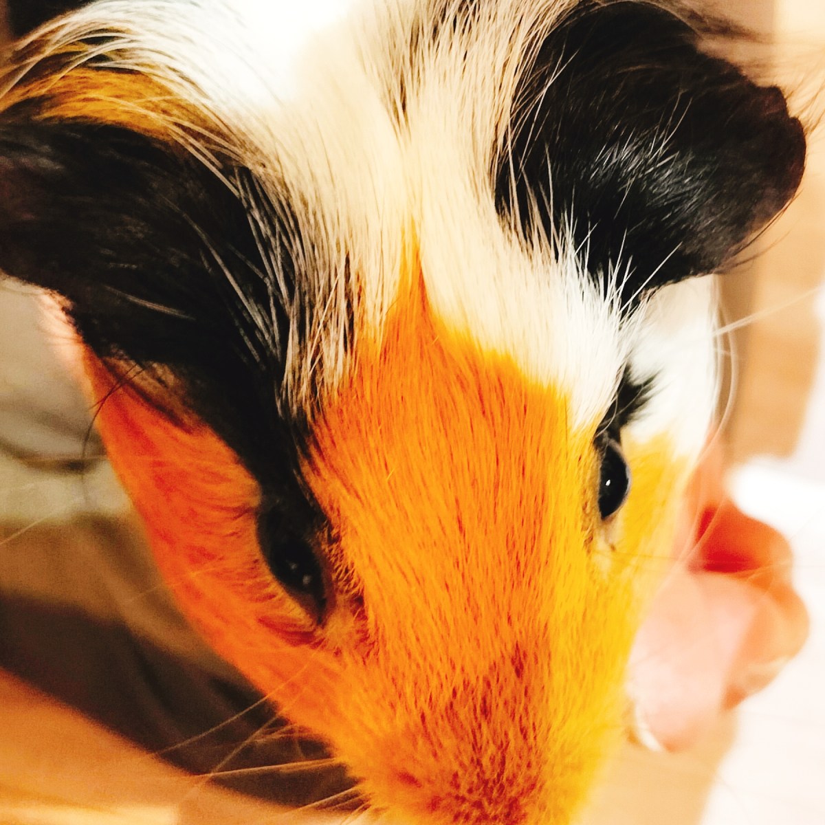 目的条文について