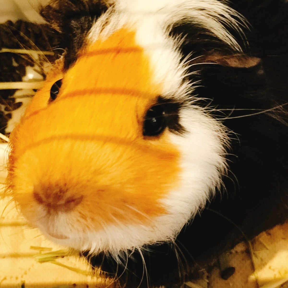 目的条文について2