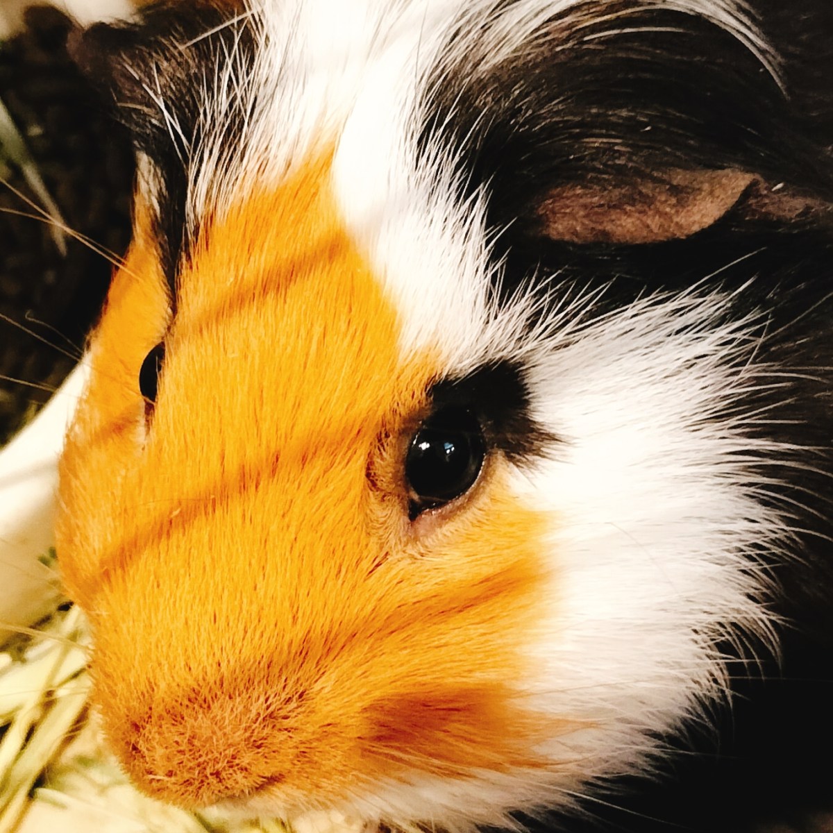 雇用保険法について2